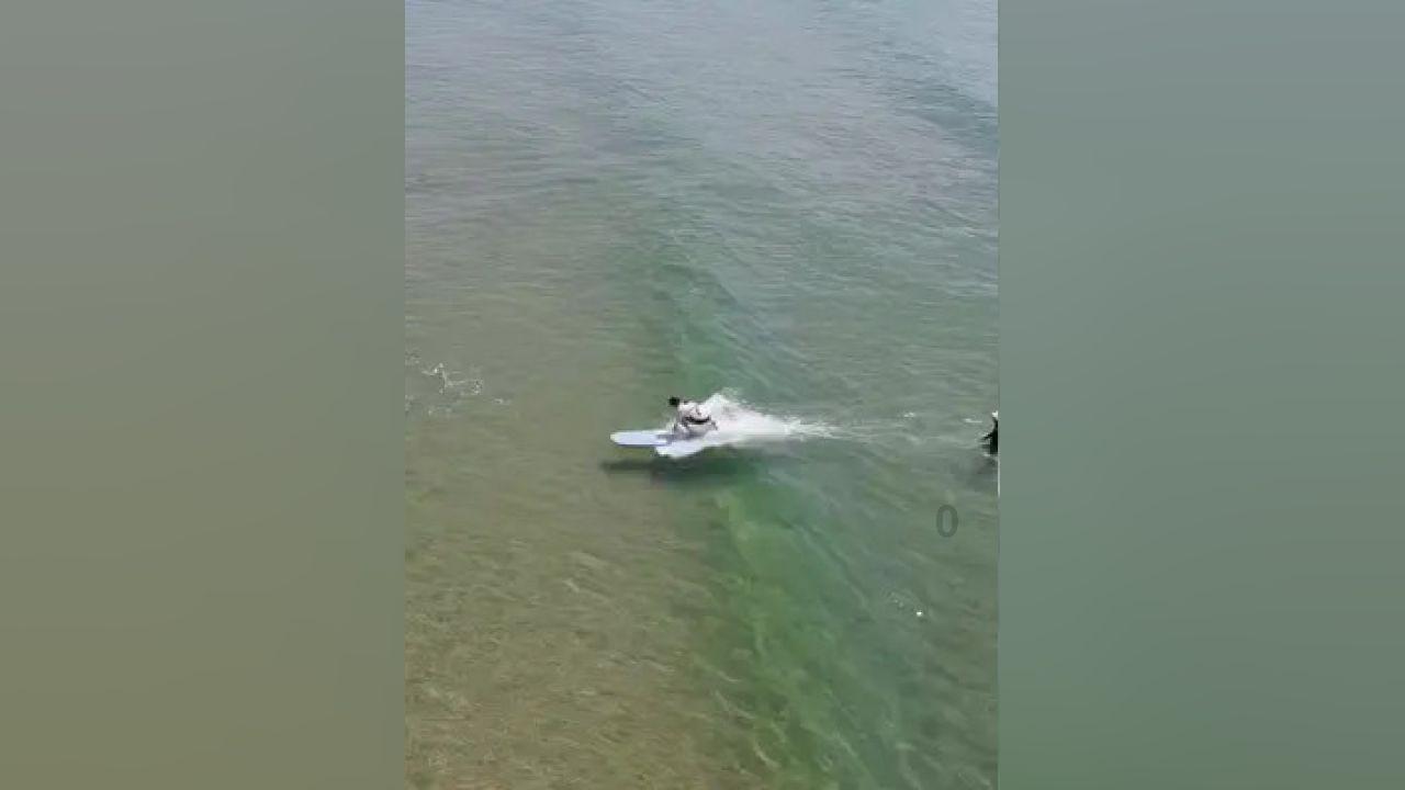 泛亚电竞网站